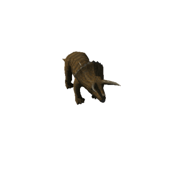 Triceratops