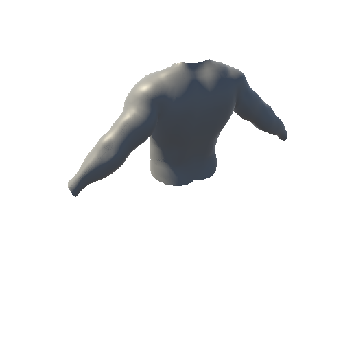 HumanMale2_Torso_Skinned