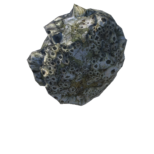 barnacle2_LOD2