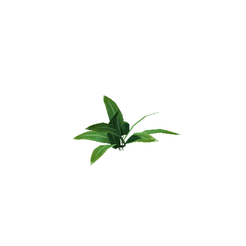 plant01_plant1