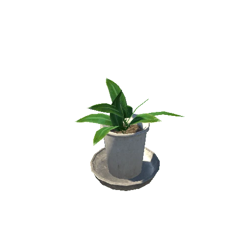 plant01_white1