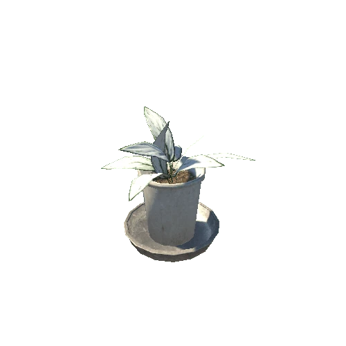 plant01_white2