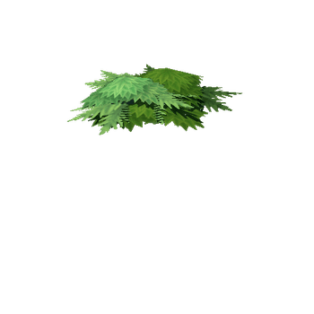 Foliage_ClusterGreen_01_5x5