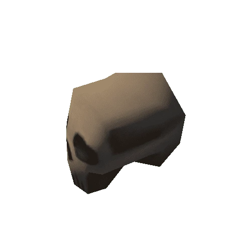 Bones_Skull_02_1x1