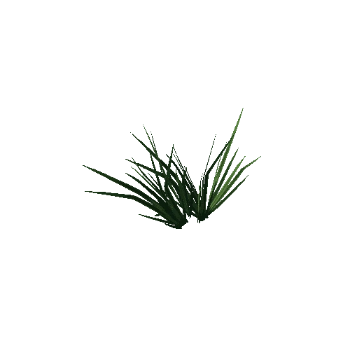 Grass_Large_01_2x2