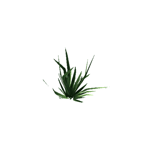 Grass_Med_01_2x2