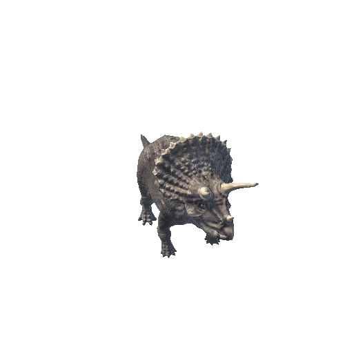 Triceratops