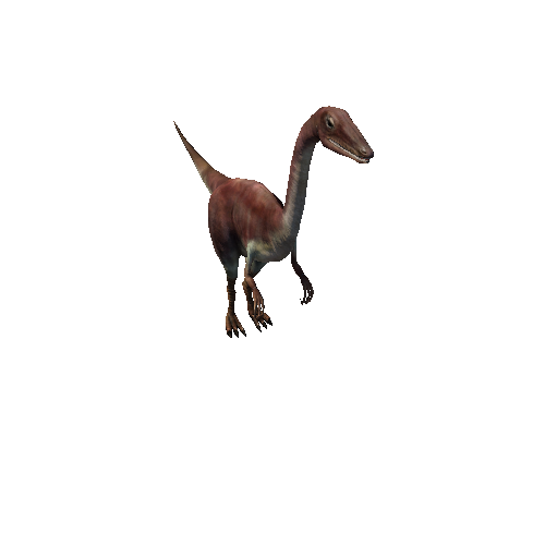 compsognathus_anim_DX_prefab