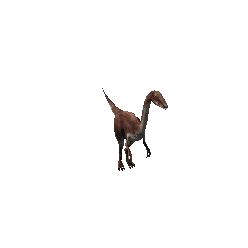 compsognathus_anim_DX_prefab