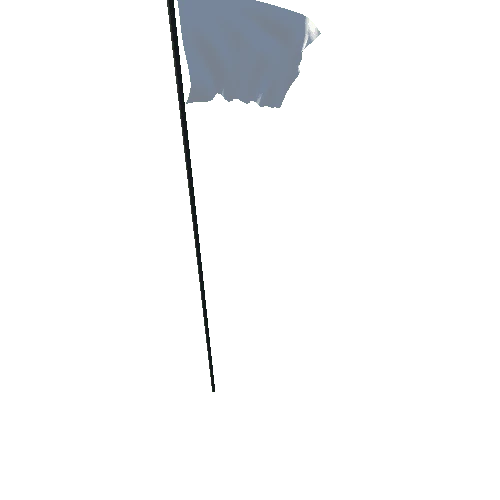 Flag_Blank