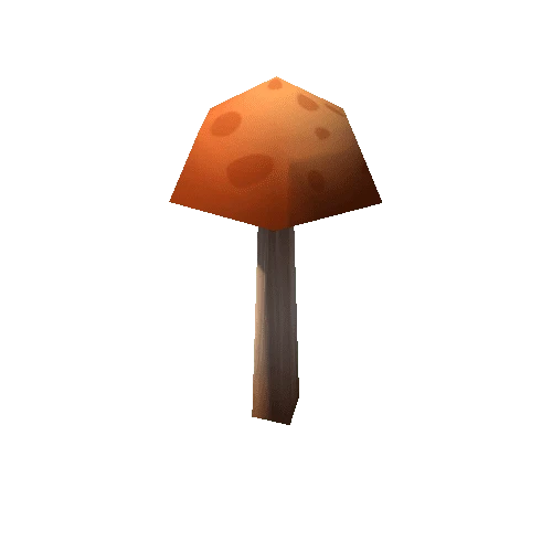 fungus_02