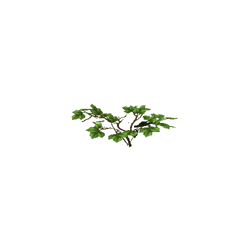 bush_03d