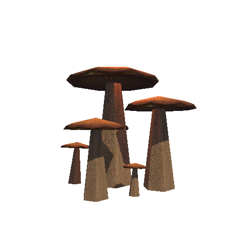 Mushroom_Gr_1C