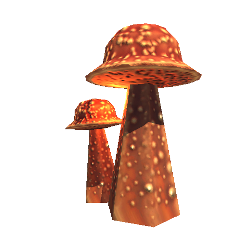 Mushroom_Gr_2A