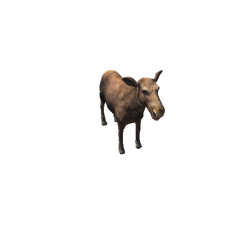 moose_cow_ip_mxLP