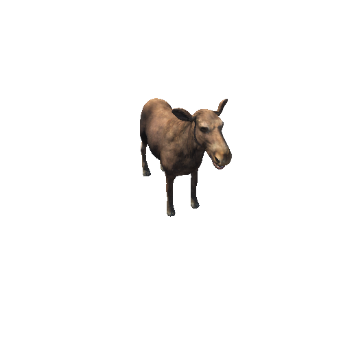moose_cow_ip_mx_SHP
