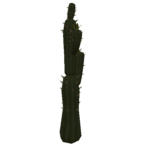 Cactus_01