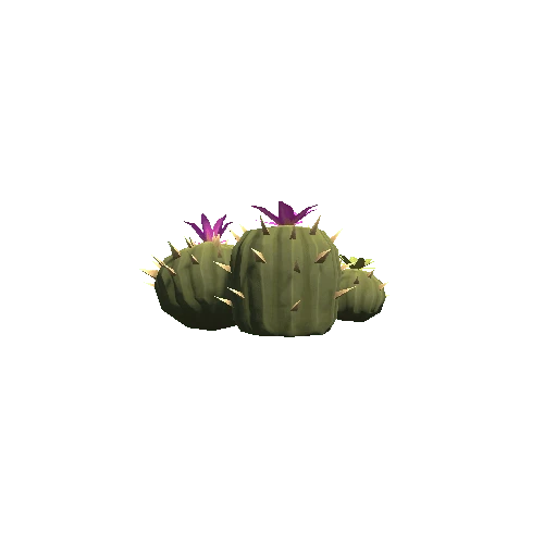 Cactus_05