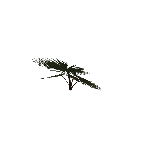 Plant_04_1