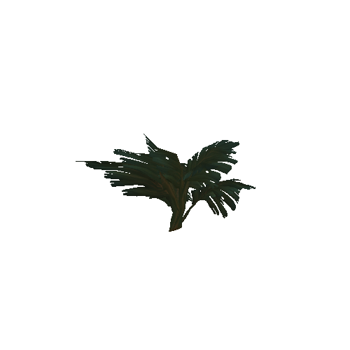 Plant_14_1