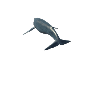 BlueWhale