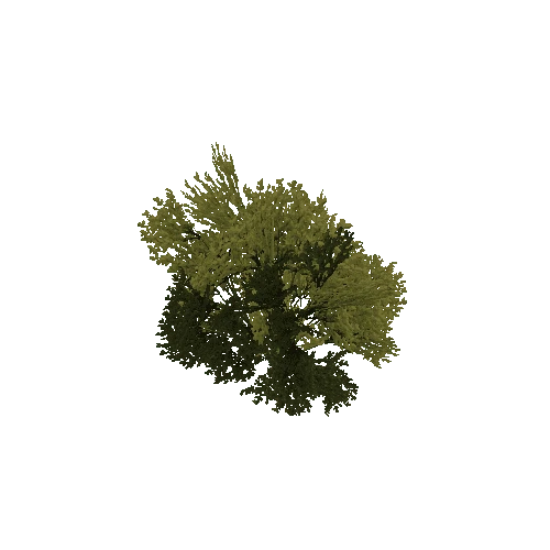 Bush_afsTREE_xao_xlprl_LOD1