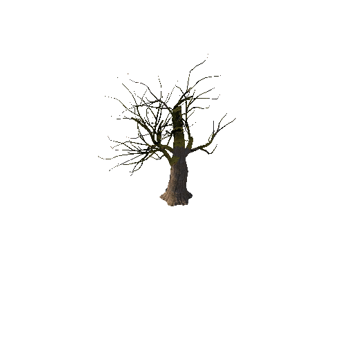 Tree6_4