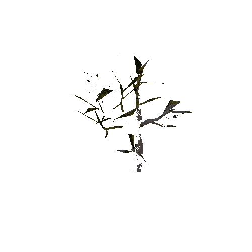 tree6_2_afsTREE_xao_xlprl_LOD2