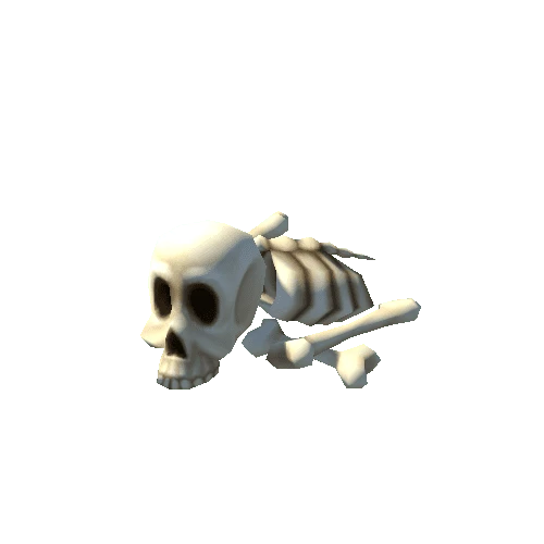 skeleton_full_set