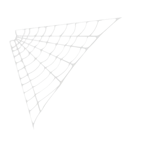 web_texture_1b