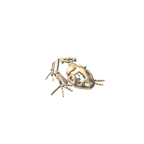 FrogSkeleton