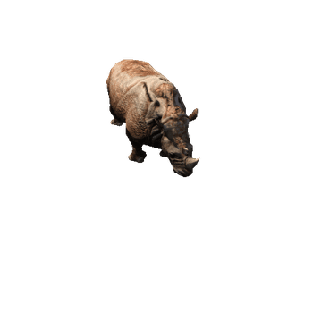 Rhino_LOD1