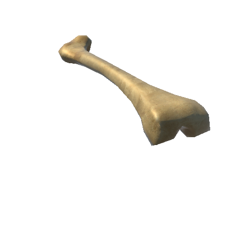 Bone01