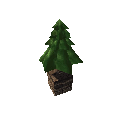 Dirt_01_Pine