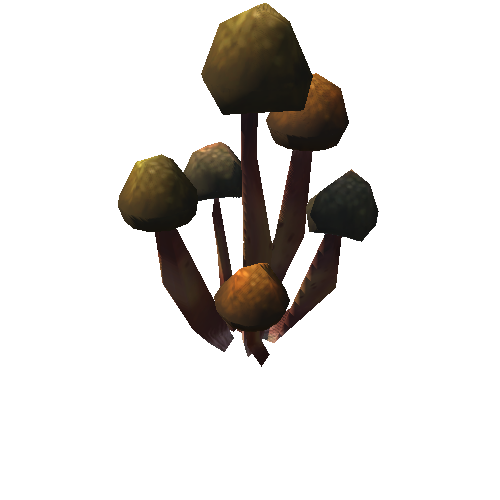 Mushroom_1