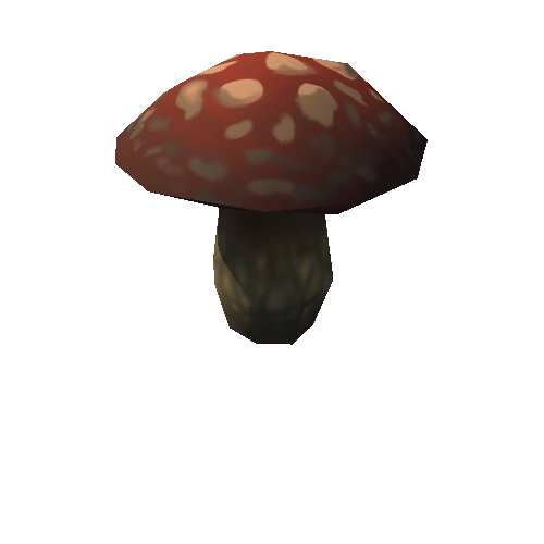 Mushroom_2