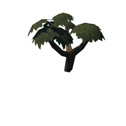 Tree_12