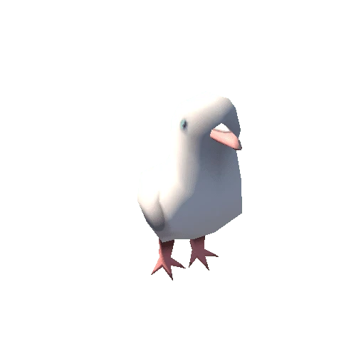 pigeon_03