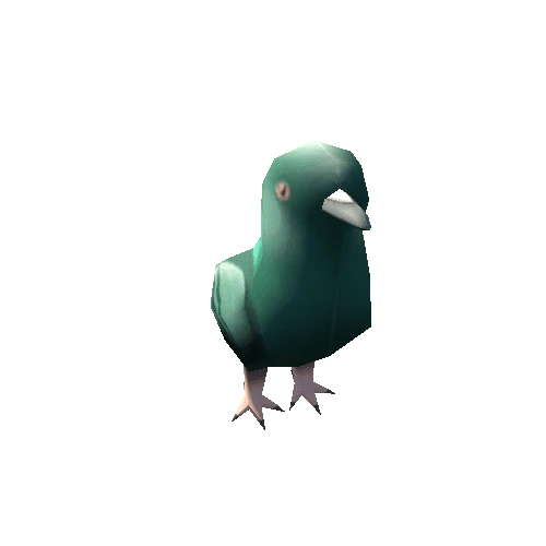pigeon_04