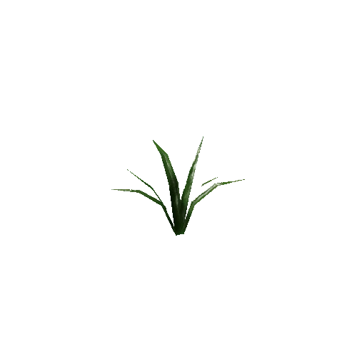 Plant01_V