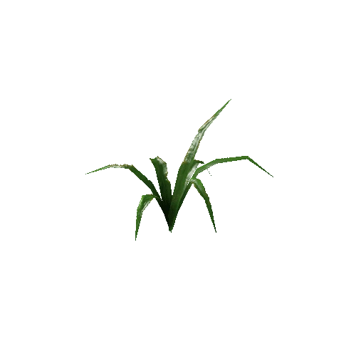 Plant02_V