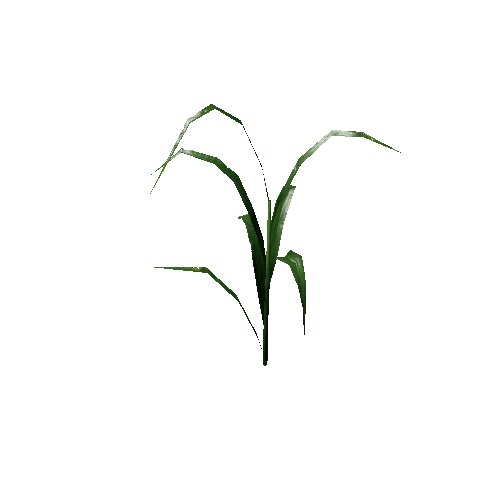 Plant03_V