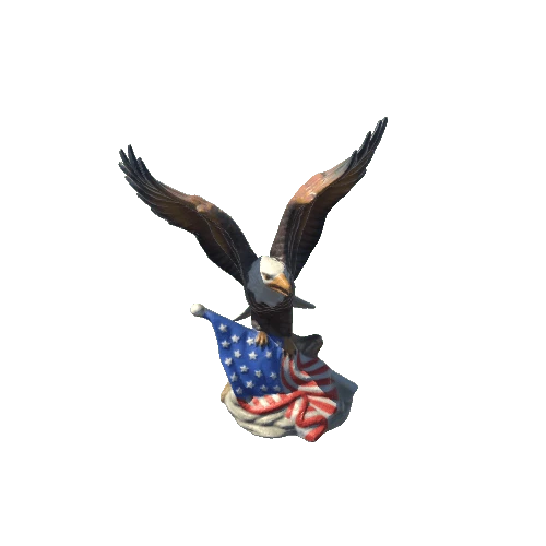 10_FlagEagle