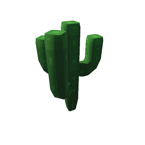 cactus_v057