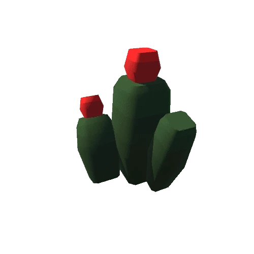 cactus_v062