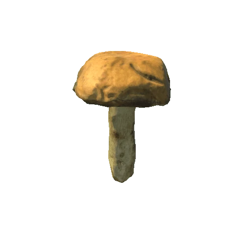 Fungus01