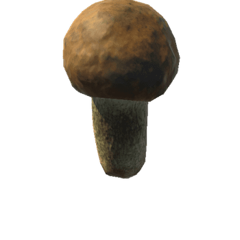 Fungus05