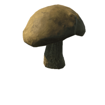 Fungus06