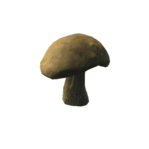 Fungus06