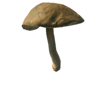 Fungus07